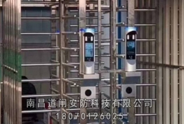 案例展示